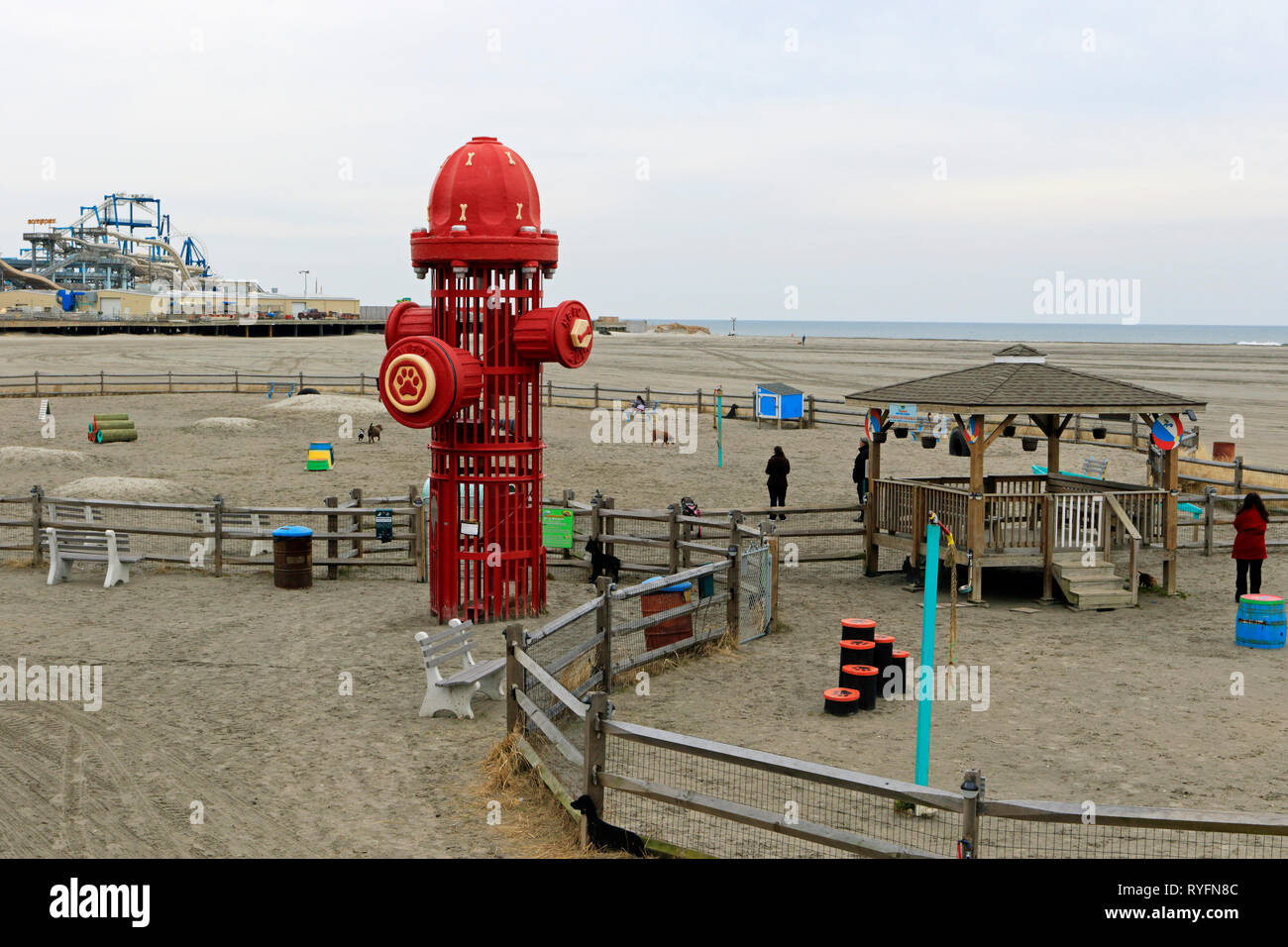 Un cane Parco sulla spiaggia in Wildwood dal mare, New Jersey, STATI UNITI D'AMERICA Foto Stock