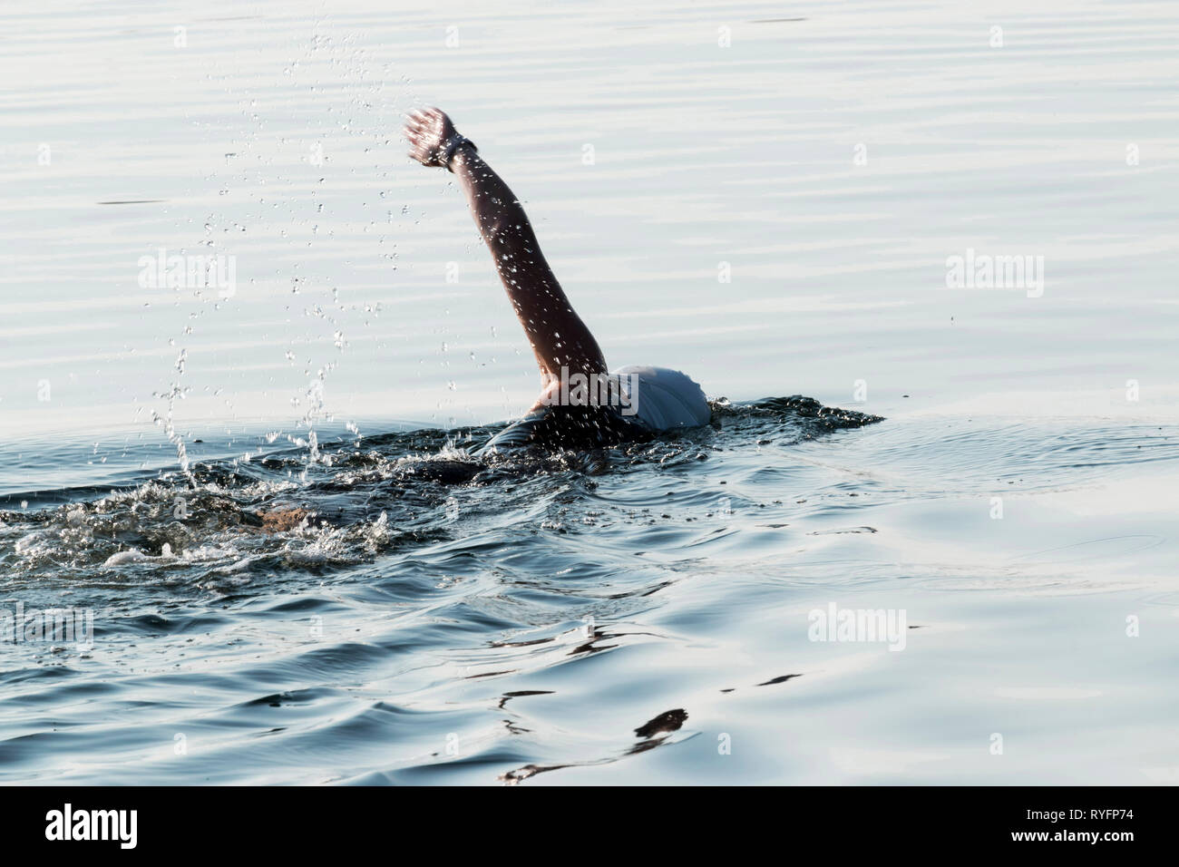 Una donna va per la sua nuotata mattutina nelle fredde acque del Maine indossando un nero a manica non muta e di un bianco tappo di balneazione. Foto Stock