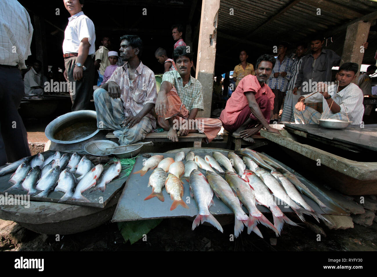 BANGLADESH il pesce in vendita al mercato a Haluaghat, Mymensingh regione foto di Sean Sprague Foto Stock