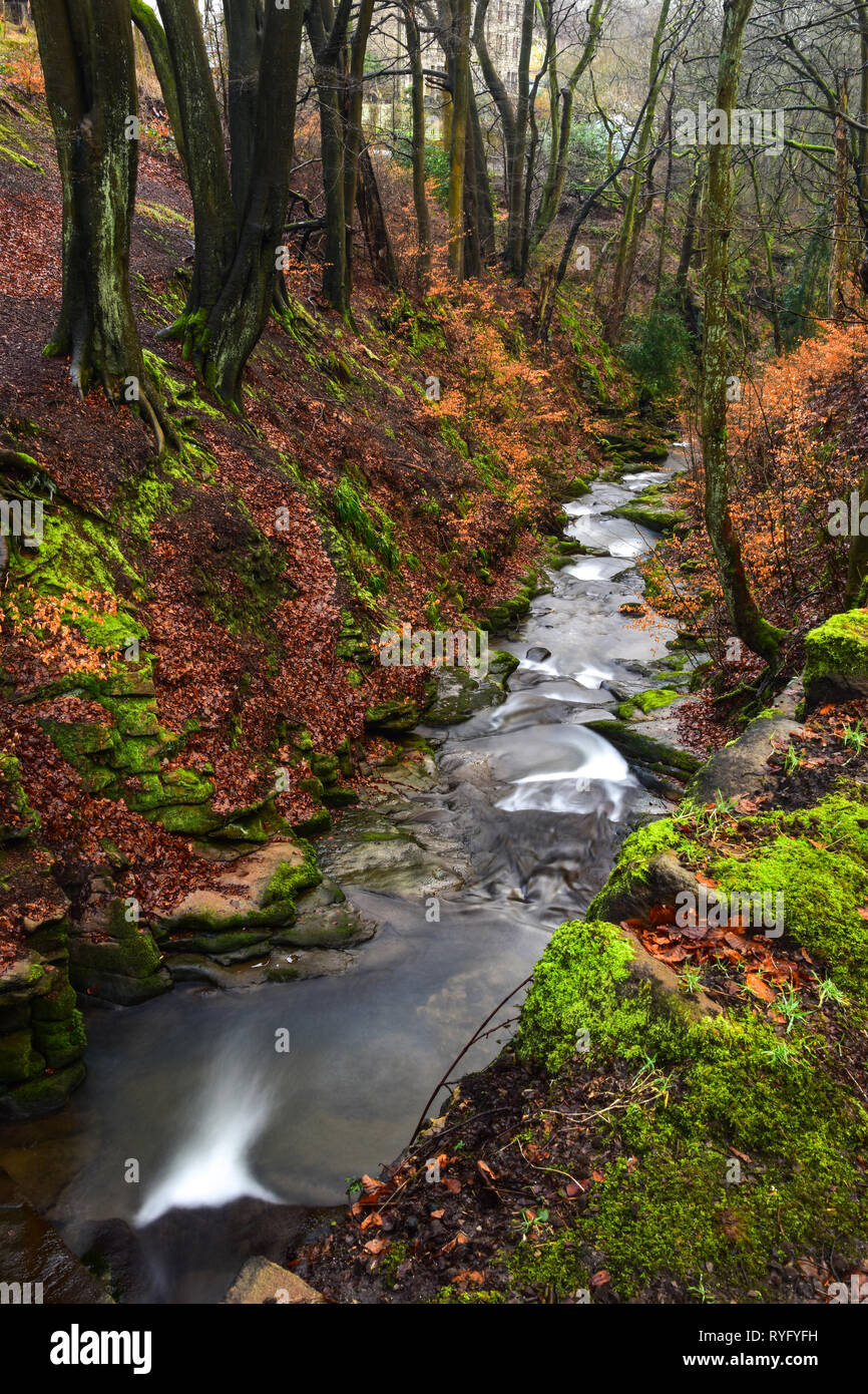 Esecuzione del flusso attraverso boschi Nutclough, Hebden Bridge, Calderdale, West Yorkshire Foto Stock