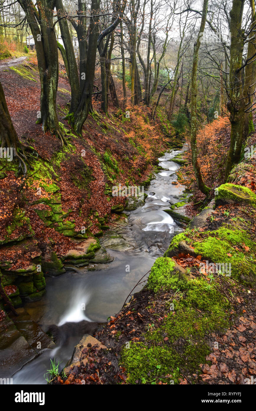 Esecuzione del flusso attraverso boschi Nutclough, Hebden Bridge, Calderdale, West Yorkshire Foto Stock
