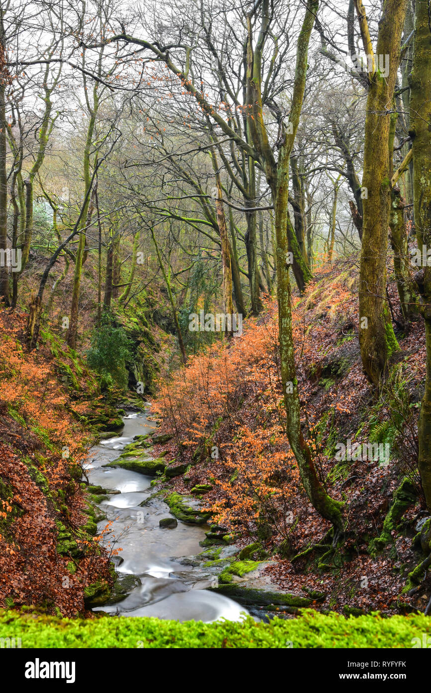 Esecuzione del flusso attraverso boschi Nutclough, Hebden Bridge, Calderdale, West Yorkshire Foto Stock