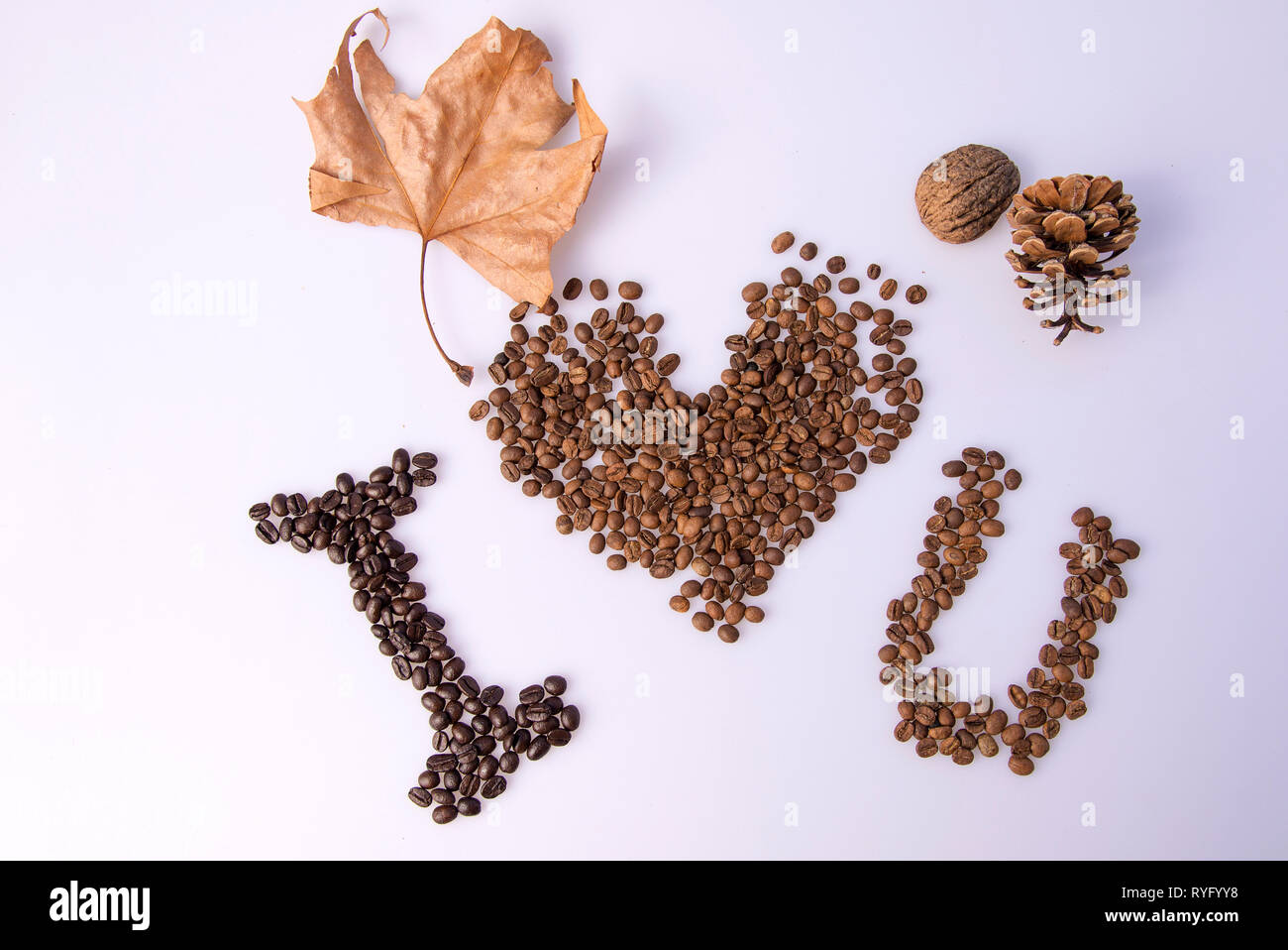 Chicco di caffè cuore su sfondo bianco Foto Stock