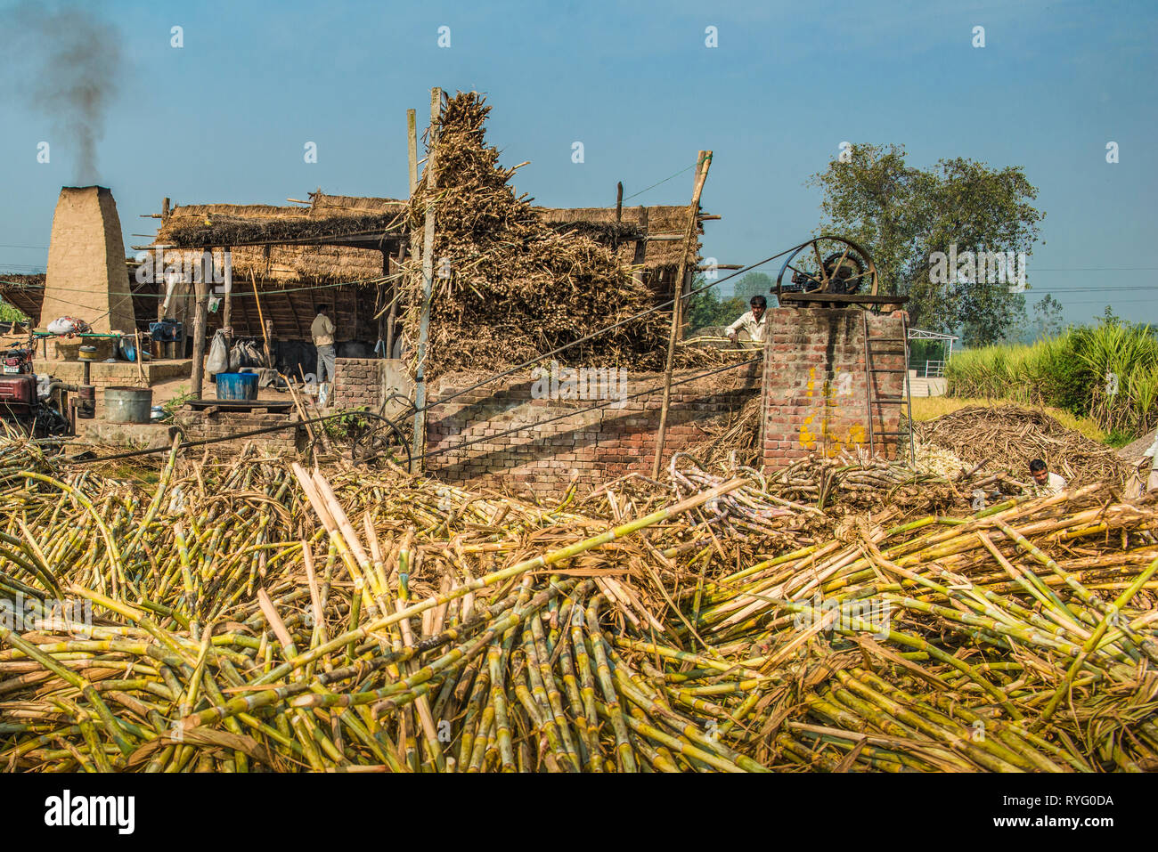 HIMACHAL Pradesh, India. tradizionali di zucchero di canna stabilimento in India rurale Foto Stock