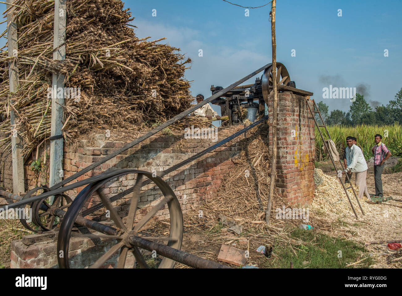HIMACHAL Pradesh, India. La spremitura di macchina in un tradizionale allo zucchero di canna stabilimento in India rurale Foto Stock