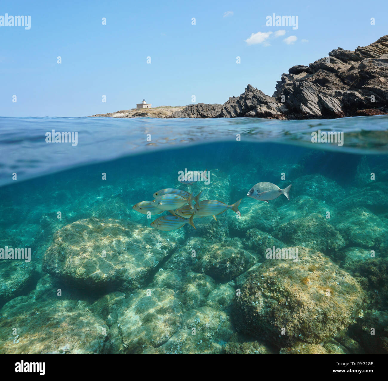 Spagna costa rocciosa con un faro e pesce con rocce sottomarine, mare Mediterraneo, El Port de la Selva, in Costa Brava Catalogna, vista suddivisa Foto Stock