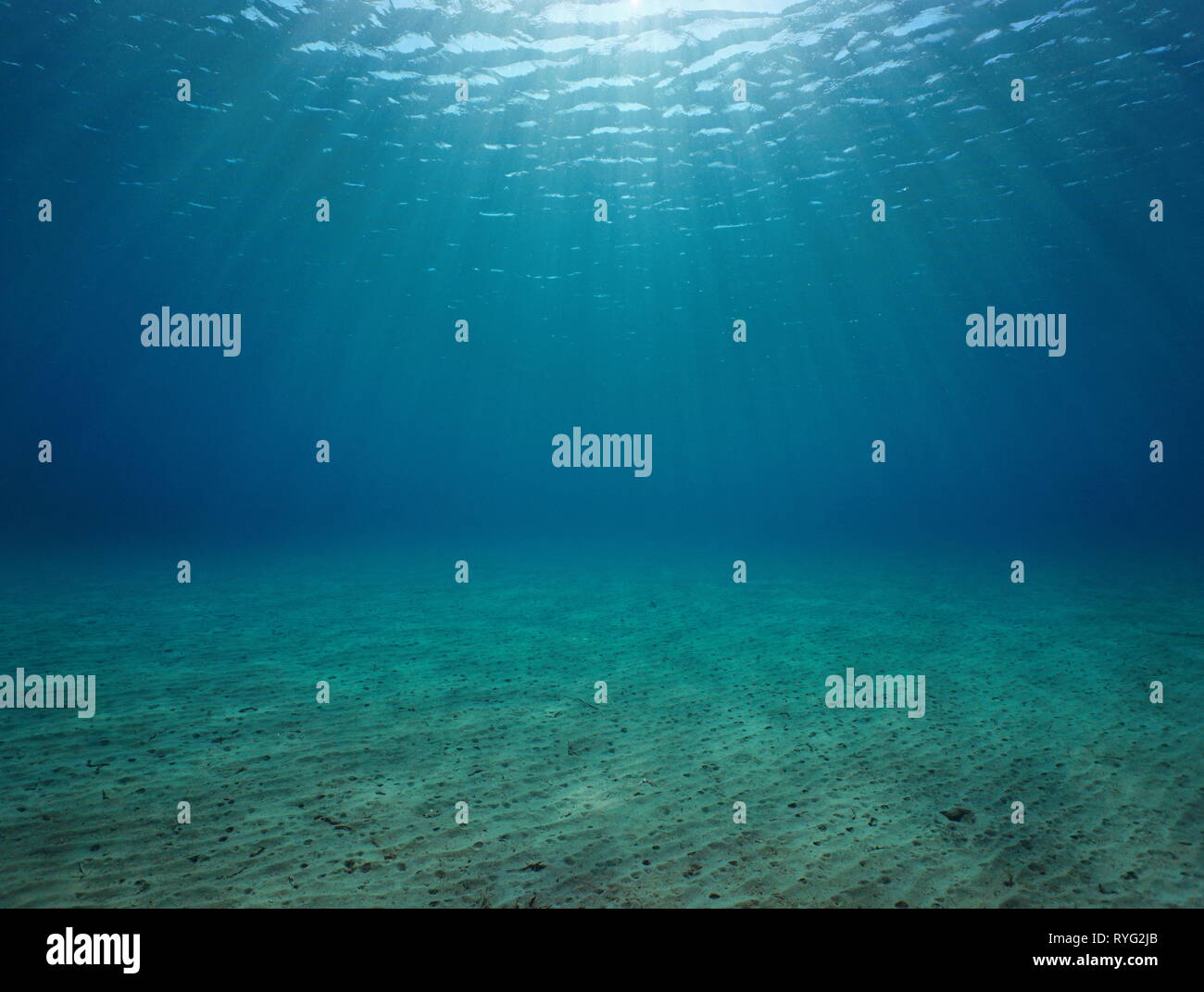 Underwater seascape fondale sabbioso con luce solare naturale al di sotto della superficie dell'acqua nel mare Mediterraneo, Francia Foto Stock