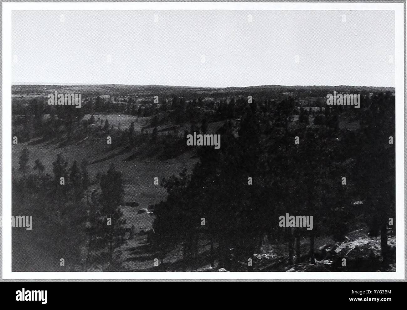 Ottanta anni di vegetazione e il paesaggio cambia nel nord della Grande Pianura : un archivio fotografico eightyyearsofveg45klem Anno: 2001 fotografia originale 10 agosto 1918. Shantz V-2-1918. Verso sud-ovest. Prima di riacquisizione e descrizione 28 Giugno 1959. W.S.P. No. 2365. Nessuna descrizione disponibile. Foto Stock