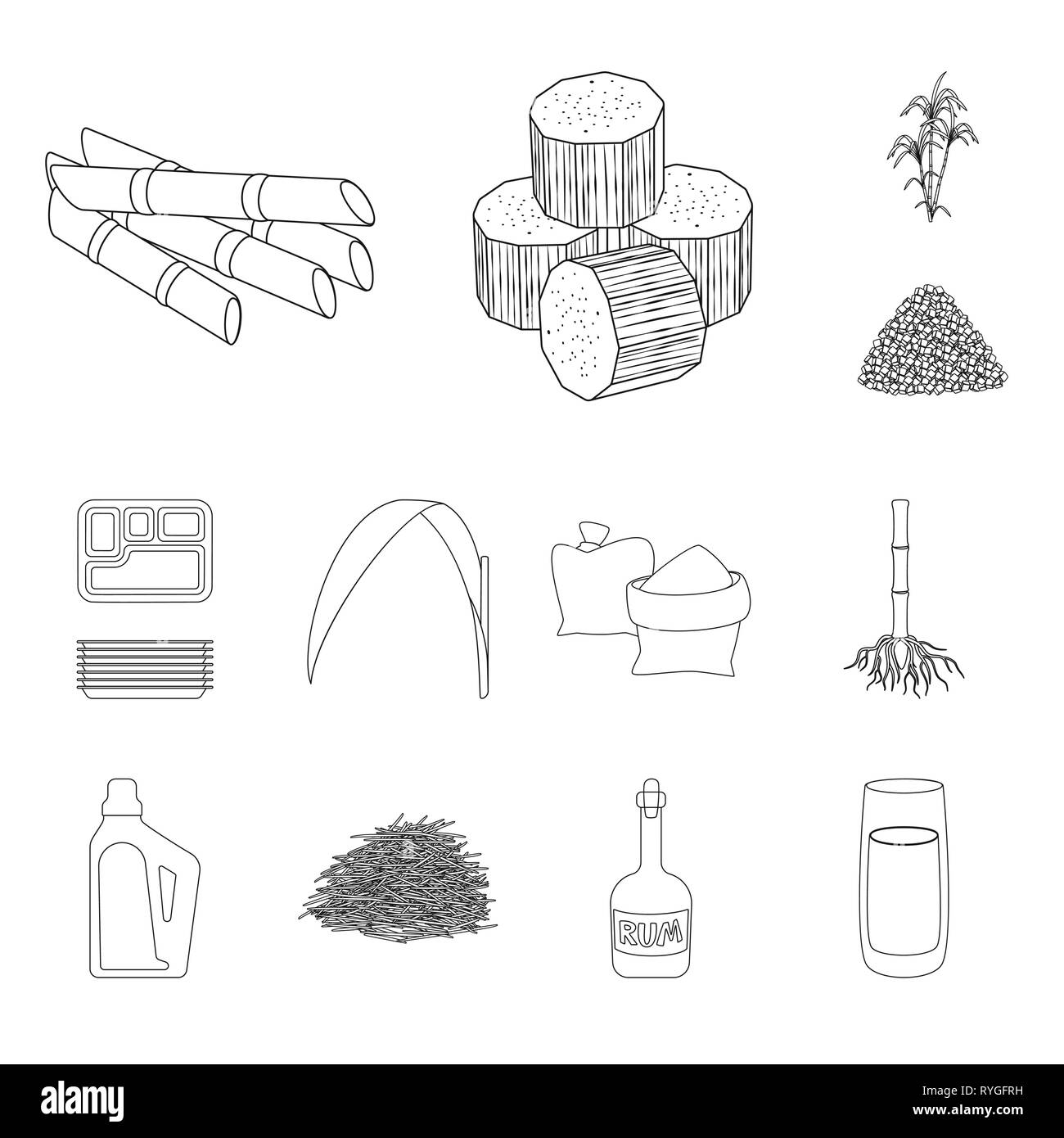 Stick,pezzo,bush,cartone,foglie,bag,root,Casa,bagasse,rum,succhi di frutta,cube,palm,granulata,contenitore,verde,sabbia,sistema,prodotti chimici,materie,bottiglia,harvest,l'india,pilastro,blocco,pack,carboidrato,procedimento,zucchero,campo,impianto,plantation,agriturismo,l'agricoltura,saccarosio,technology,la canna da zucchero, la canna da zucchero,impostare,vettore,icona,immagine,isolato,raccolta,design,l'elemento,graphic,segno,contorno,linea vettori vettore , Illustrazione Vettoriale