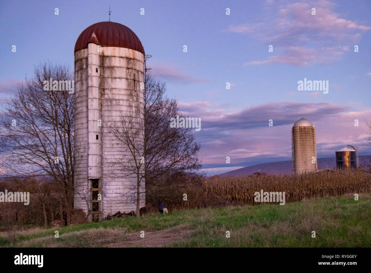 Tre silos per il grano in autunno in una fattoria in valle di Shenandoah rurale della Virginia Foto Stock