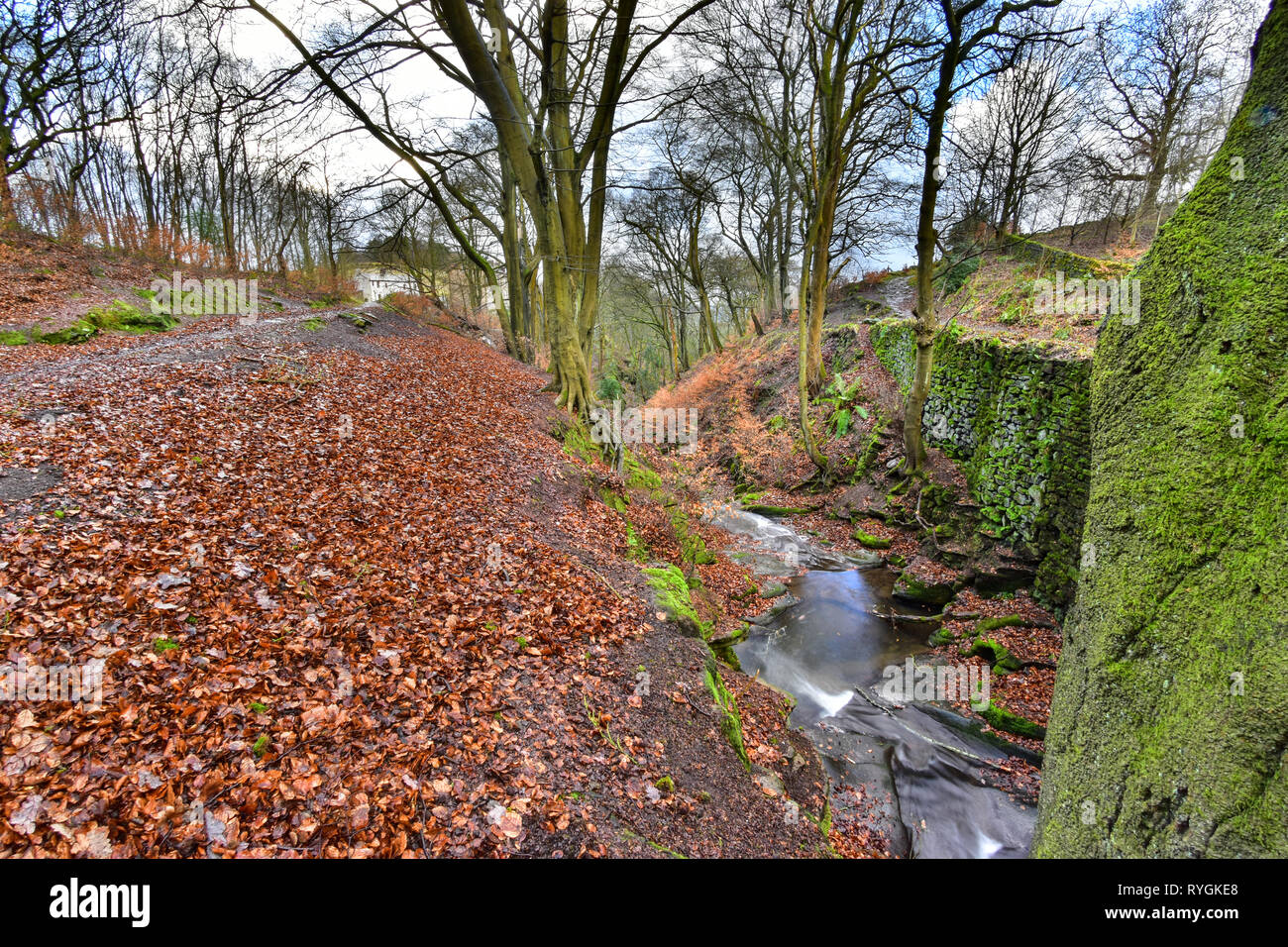 Esecuzione del flusso attraverso boschi Nutclough, Hebden Bridge, Calderdale, West Yorkshire Foto Stock