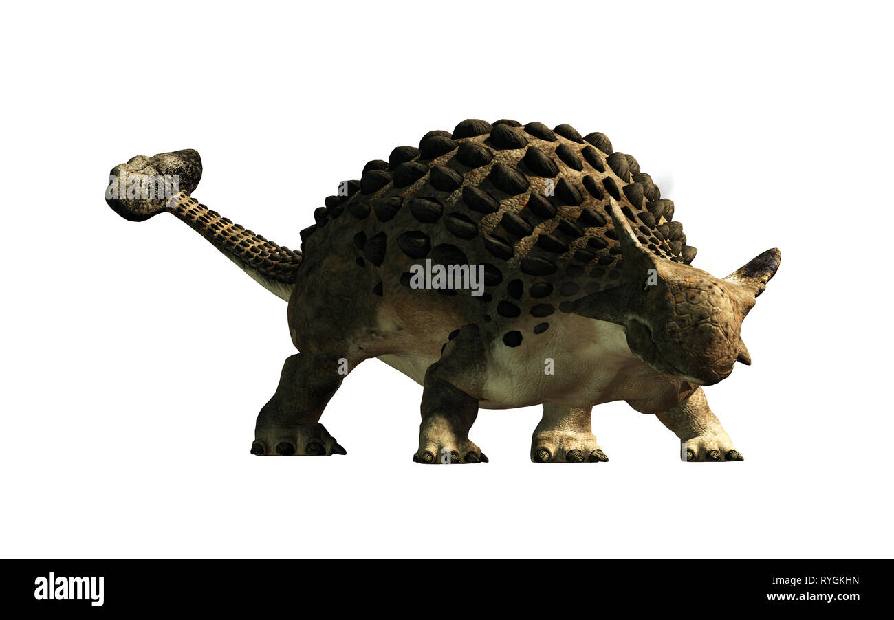 Ankylosaurus, uno dei più famosi dinosauri, era un Cretaceo era ornithischian erbivoro. Qui, le corazzate dino è mostrato su uno sfondo bianco Foto Stock