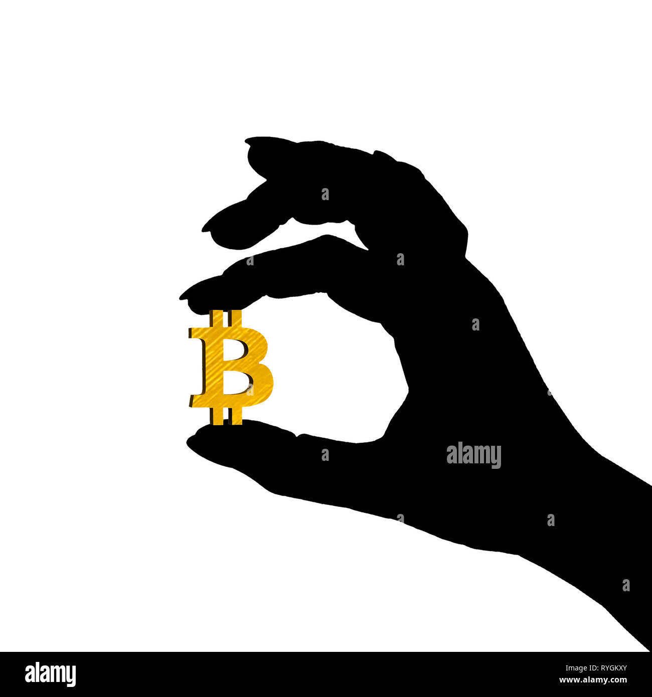 Silhouette di mani golden simbolo bitcoin isolati su sfondo bianco Foto Stock