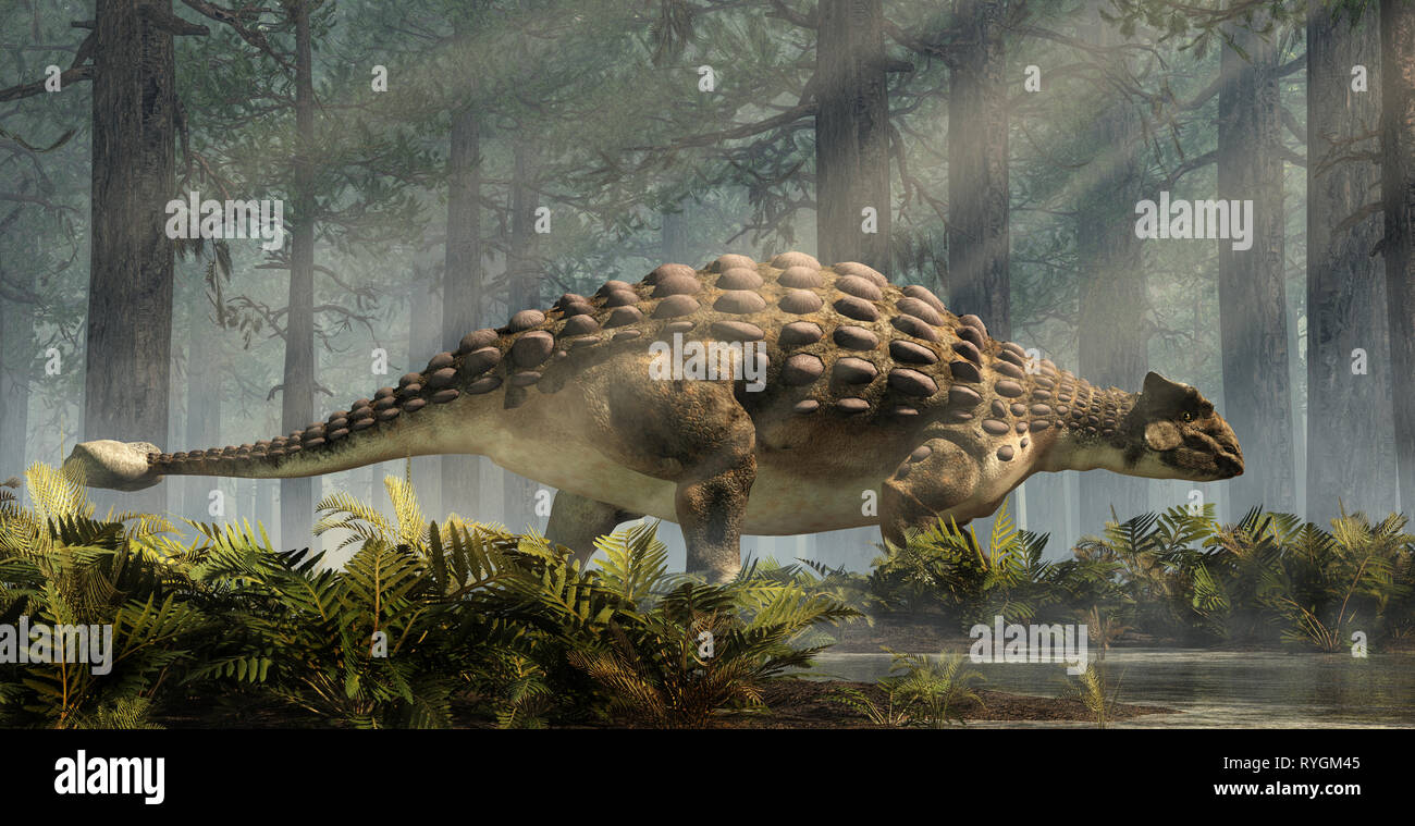 Ankylosaurus, uno dei più famosi dinosauri, era un Cretaceo era ornithischian erbivoro. Le corazzate dino sorge in una foresta di abeti Foto Stock