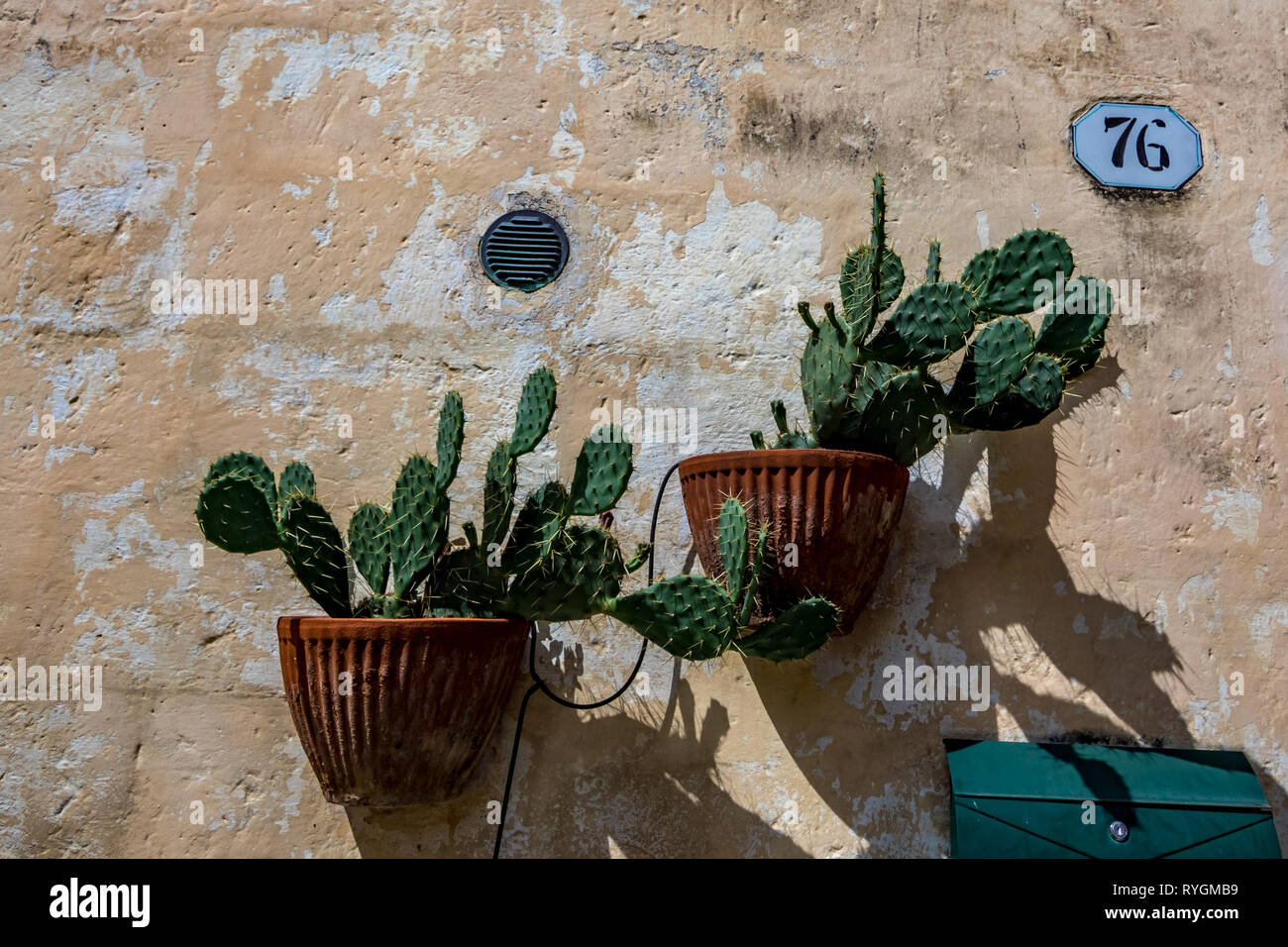 Un sano verde cactus crescere in marrone vasi di terracotta sotto il caldo sole estivo a Matera, Italia. Strada segno vecchio numero 76, settanta-sei sul muro di pietra Foto Stock