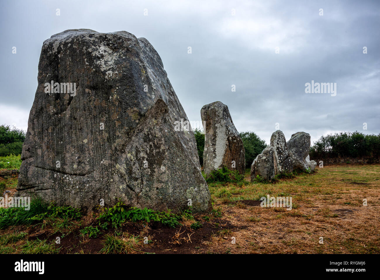 Carnac megaliti allineamento in Bretagna, Francia Foto Stock