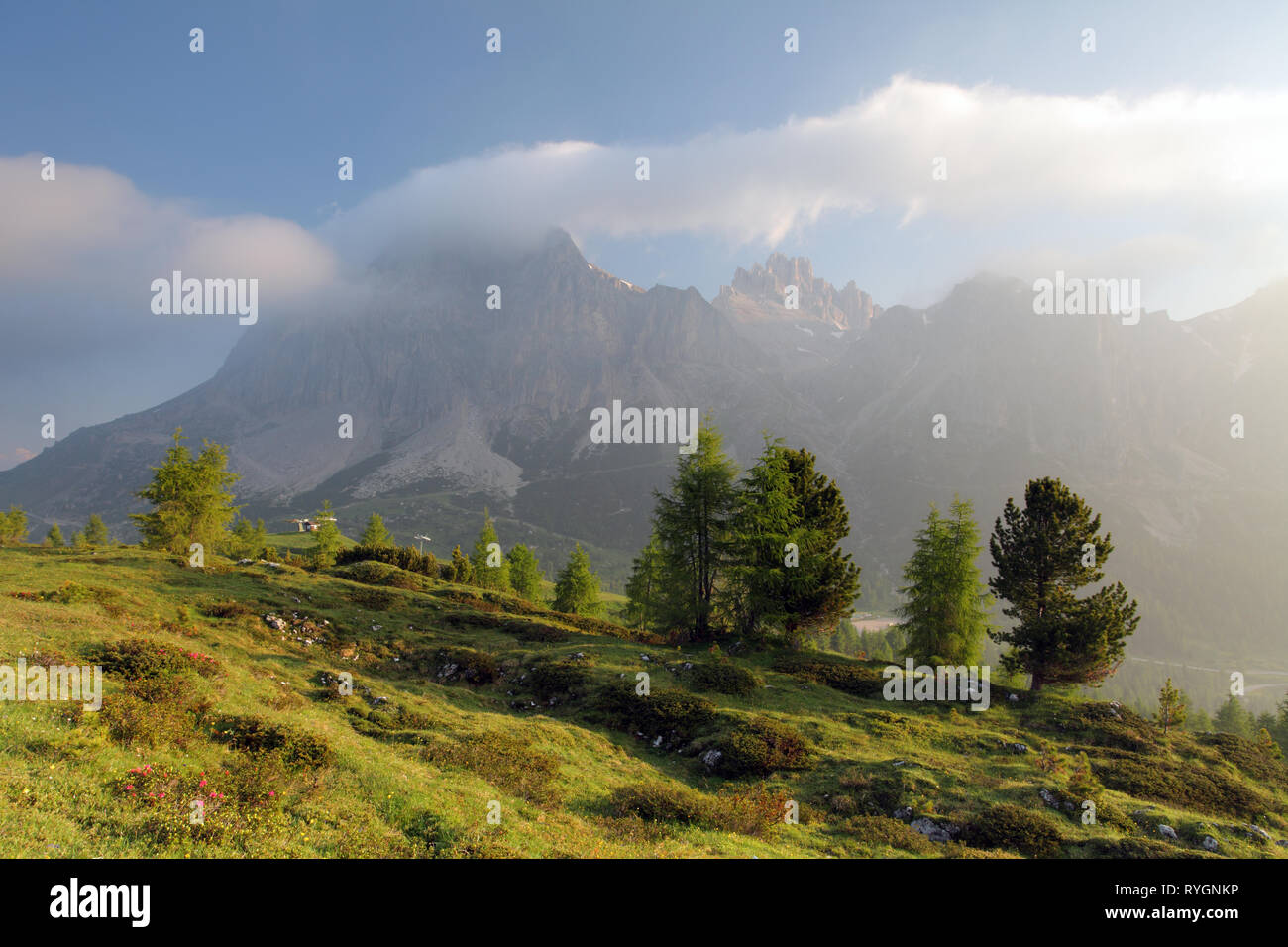 Nebbiosa mattina d'estate in Italia alpi, Dolomiti, l'Europa. Foto Stock