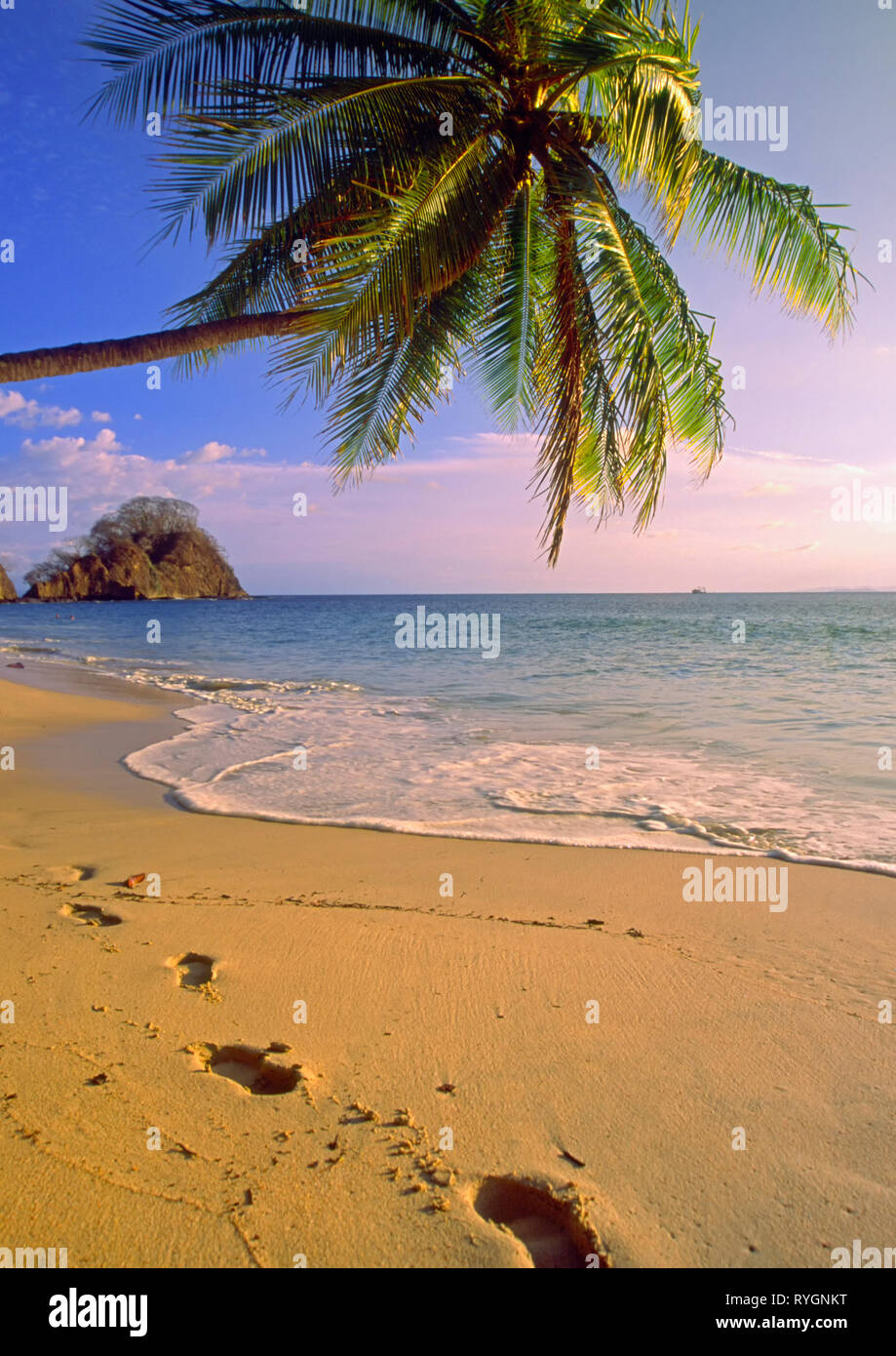 Piedi stampe di sabbia su una Costa Rican Pacific Coast Beach con un albero di palma nel 2002 Foto Stock