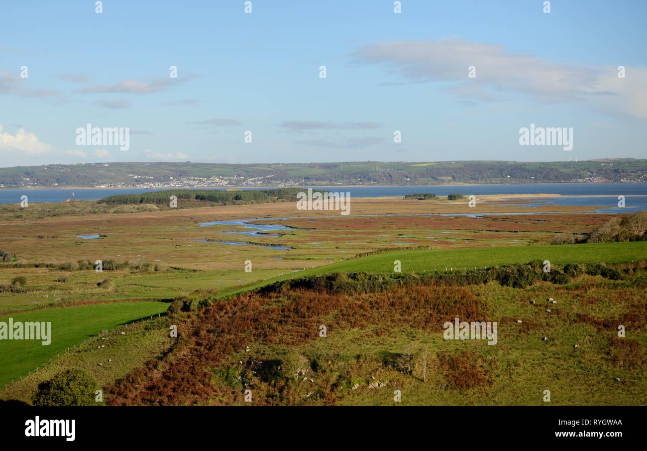 Panoramica dei pascoli ovini, Landimore Marsh, Whiteford Burrows e il Loughor estuario, Llanmadoc, Il Gower, Wales, Regno Unito, ottobre. Foto Stock