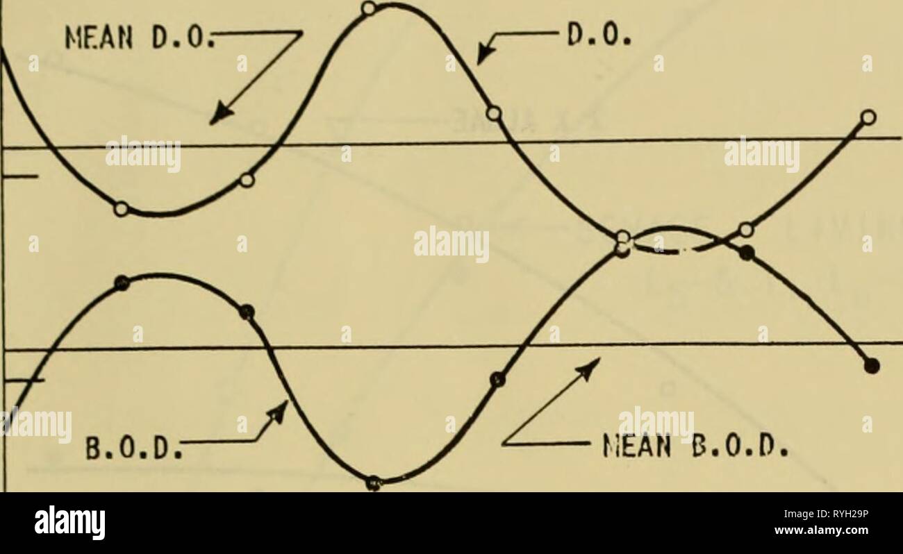 L'ecologia delle alghe : un simposio tenutosi presso il Pymatuning Laboratorio di Biologia di campo il 18 e il 19 giugno 1959 ecologyofalgaesy00tryo Anno: 1960 e c a. o - 2 HEAN B.O.D. Da Bartsch, 1956 2 AM 8 II t!oo:i B a. (X c m o m 8 II PM influenza della luce diurna diffusa OH B.O.D. Il campione contiene IMG ALGHE - 26 agosto 1955 figura i I centro e forse altrove. Tre aree di relazione tra le alghe e la B.O.D. test sono di particolare interesse. Essi sono: (a) l'effetto di illuminazione, (b) quan- tity delle alghe, e (c) l'influenza dei morti come op- posto a vivere le alghe. Acqua dall'Ohio Riv Foto Stock