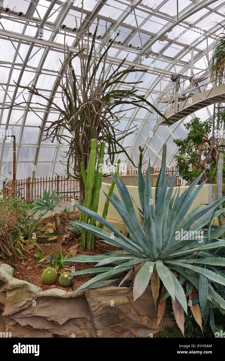 OKLAHOMA CITY OK -2 MAR 2019- vista la miriade di Giardini Botanici, interattivo di un parco urbano in un elemento tubolare di serra di vetro si trova nel centro cittadino di Oklah Foto Stock