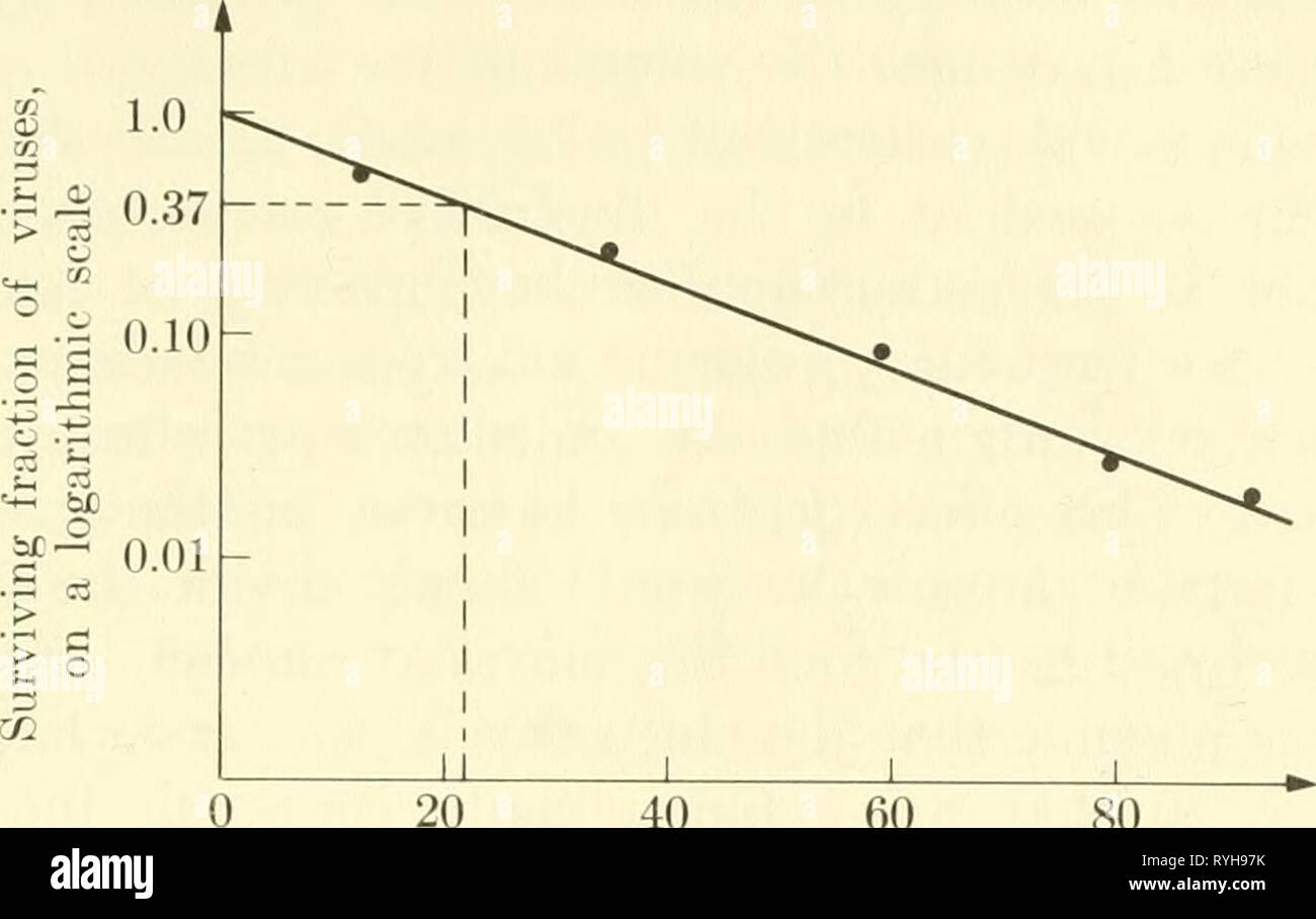 Biofisica elementari: temi selezionati elementarybiophy00epst Anno: 1963 la teoria del bersaglio 111 20 40 60 80 X-ray dose in unità di 1000 roentgens Fig. 52. I raggi x inattivazione del batteriofago alfa. La dose per il processo di produ- zione 37 la sopravvivenza è trovato da linee tratteggiate da circa 23.000 roentgens. proprietà di tutte le radiazioni di cui abbiamo parlato in precedenza e il num- ber di ionizations prodotta per cc di sostanza è un numero che può essere individuata osservando nella corretta libri sulla biologia di radiazione. Esso dipende dalla natura della sostanza, per esso dipende dal numero di elettroni sono contenute Foto Stock