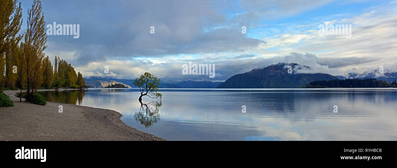 Il lago Wanaka & Tree moody mattina presto panorama con la costruzione di vento Norwest, Nuova Zelanda Foto Stock
