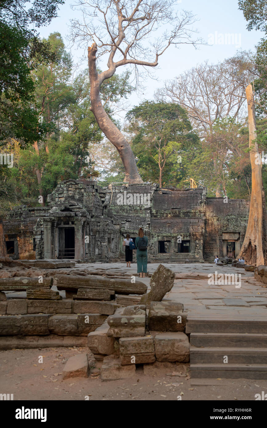 Angkor Wat Siem Reap Cambogia Giovedi 14 Marzo 2019 Siem Reap