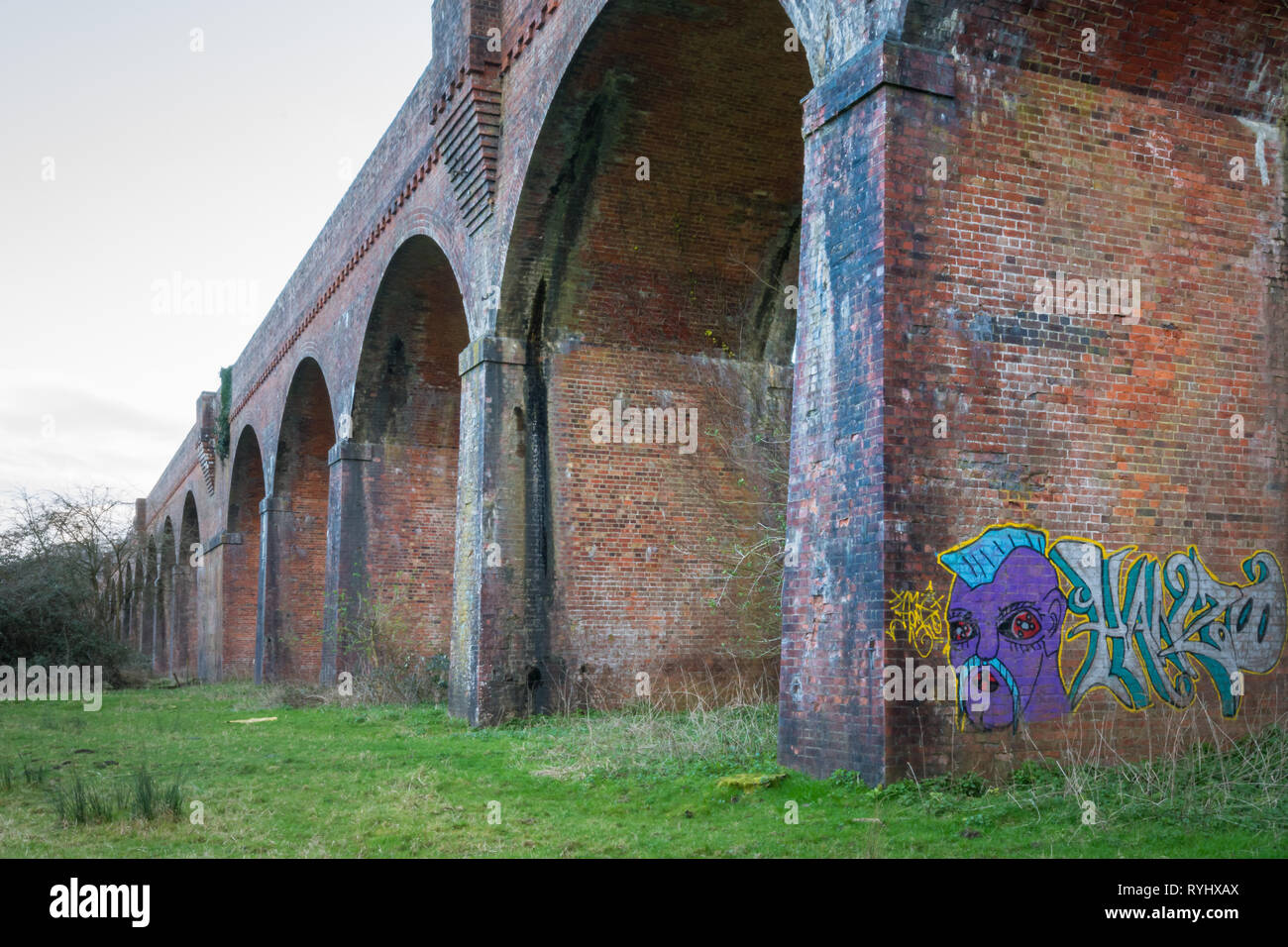 Arte di strada o di graffiti, un dipinto di testa, su Hockley viadotto ferroviario vicino a Winchester, Hampshire, Regno Unito Foto Stock