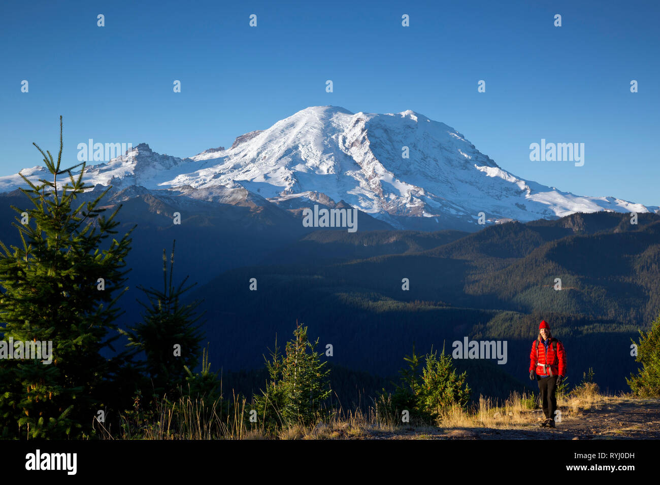 WA15932-00...WASHINGTON - escursionista sulla strada che conduce a Suntop Lookout sul Monte Baker-Snoqualmie National Forest. Foto Stock