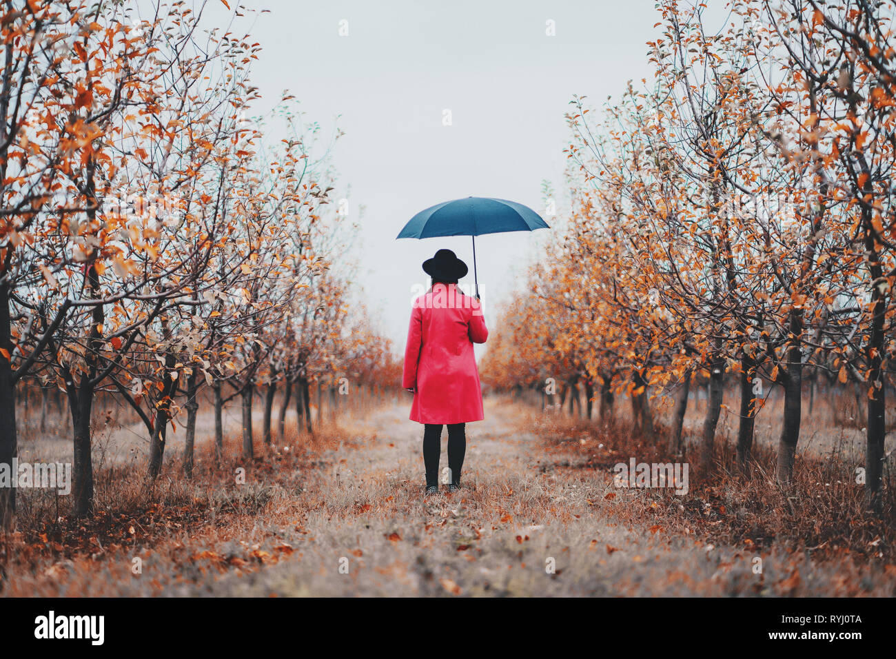 Woman in Red cappotto e con ombrello tra gli alberi nel giardino di apple a stagione autunnale. Il minimalismo, viaggi, concetto Natura. Foto Stock