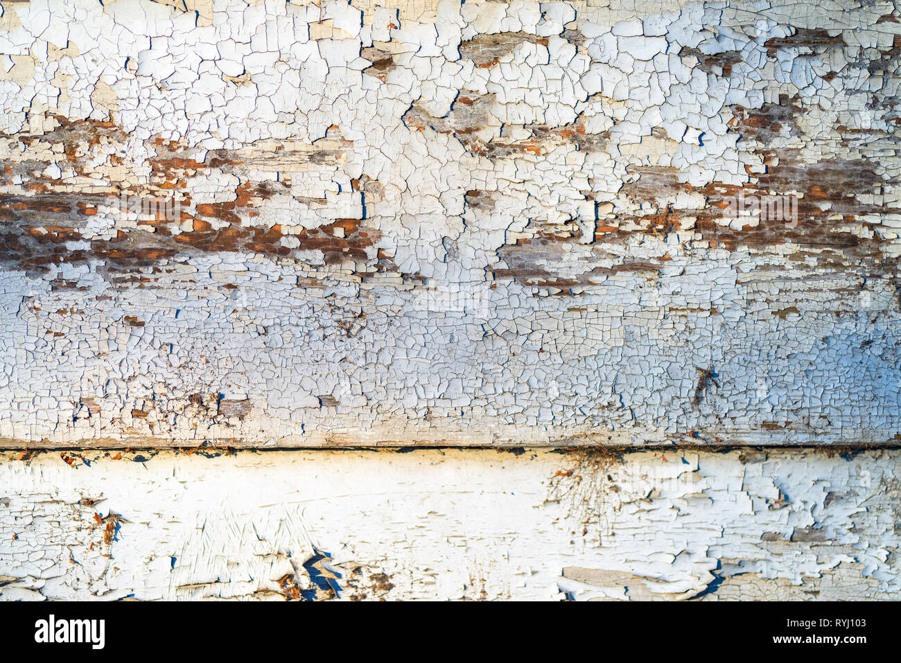 Incrinati vernice bianco staccava la superficie di legno, grunge sfondo rustico Foto Stock