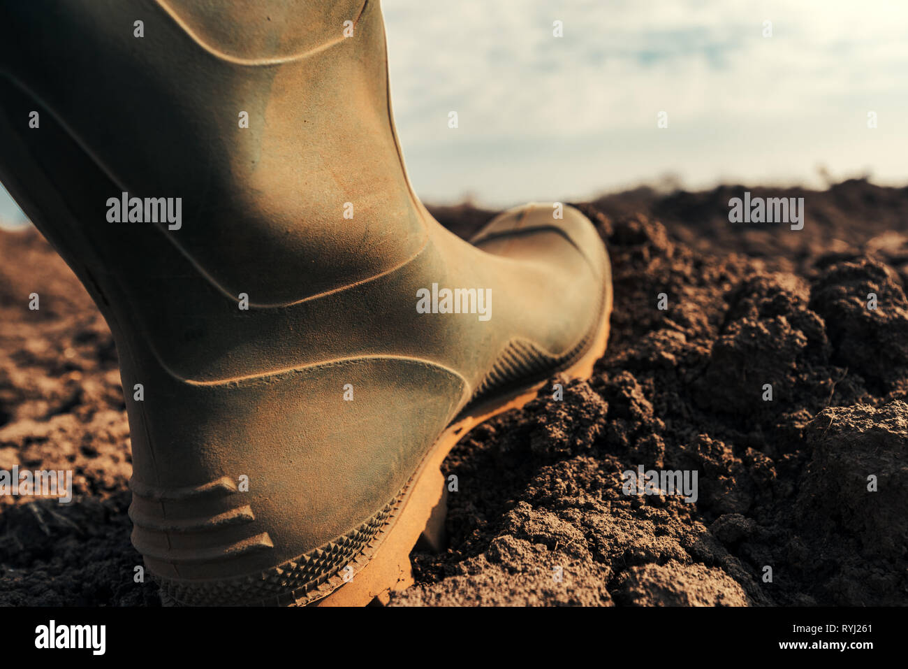 Agricoltore in Wellington stivali di gomma facendo prima fase in campo vicino. Inizio di stagione agricola e avviamento di attività su terreni agricoli. Foto Stock