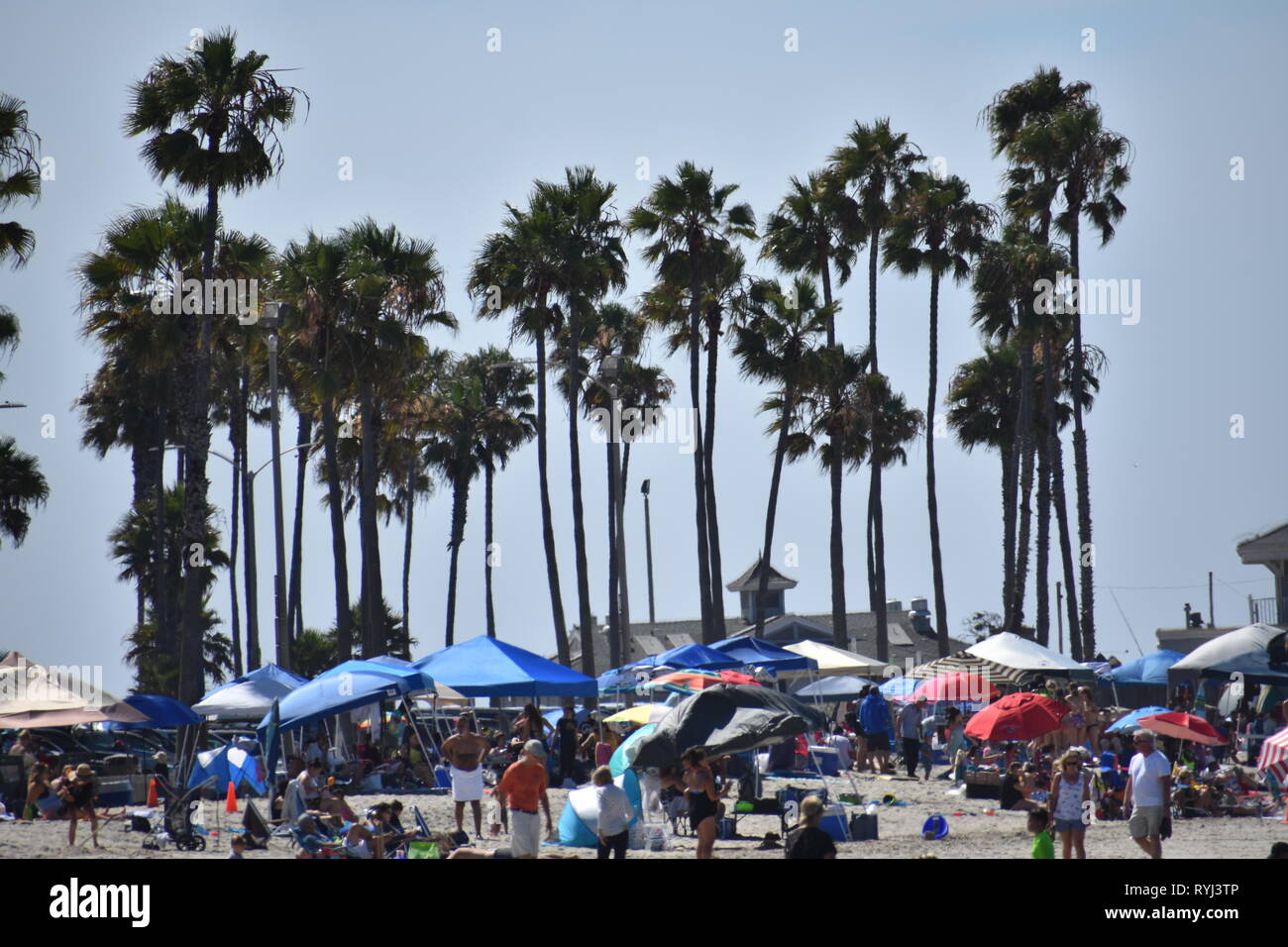 Huntington Beach Palme Foto Stock