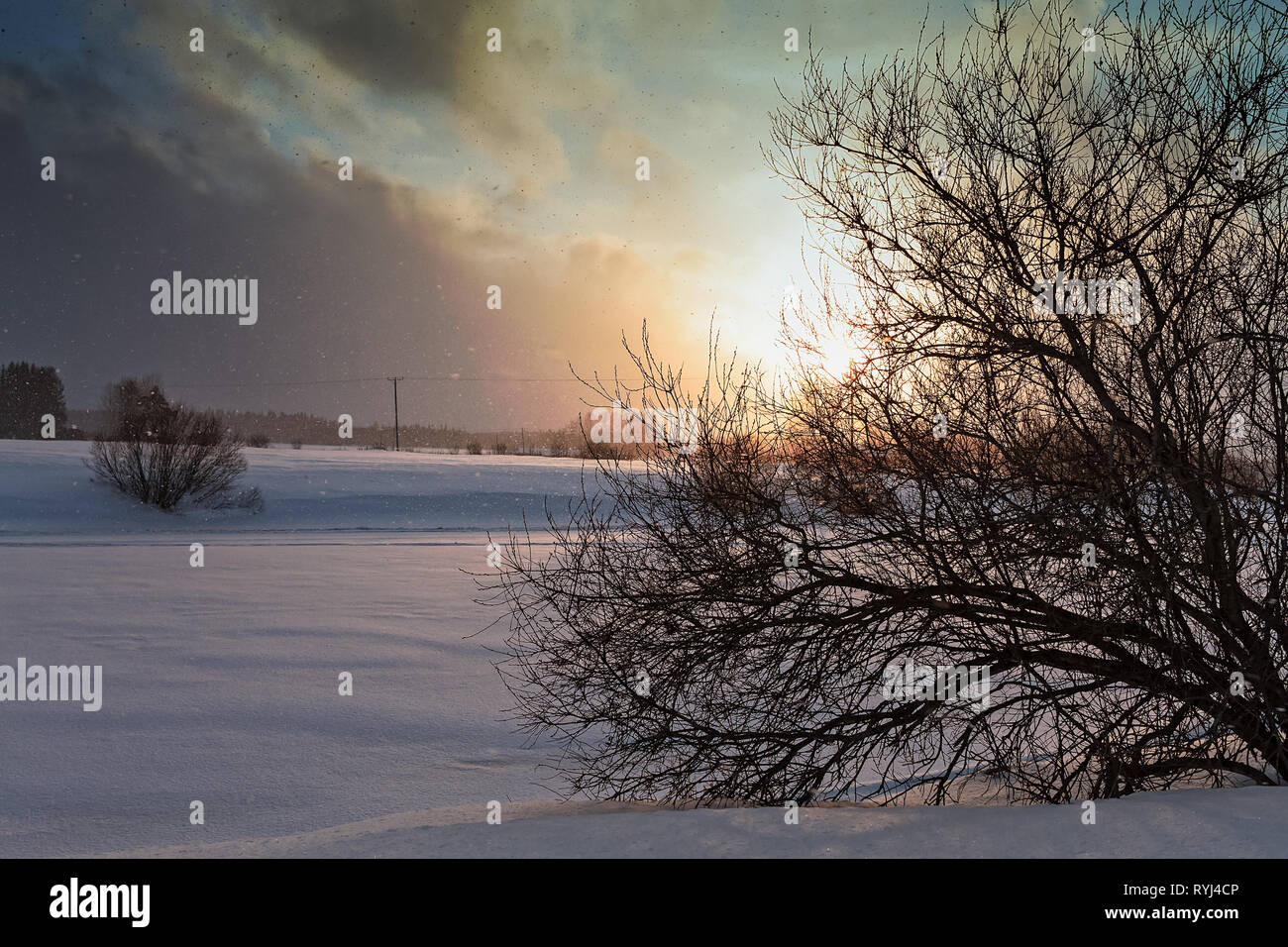 Il sole tramonta su una fredda sera al nord della Finlandia. La neve cade lentamente sopra il fiume di ghiaccio. Foto Stock