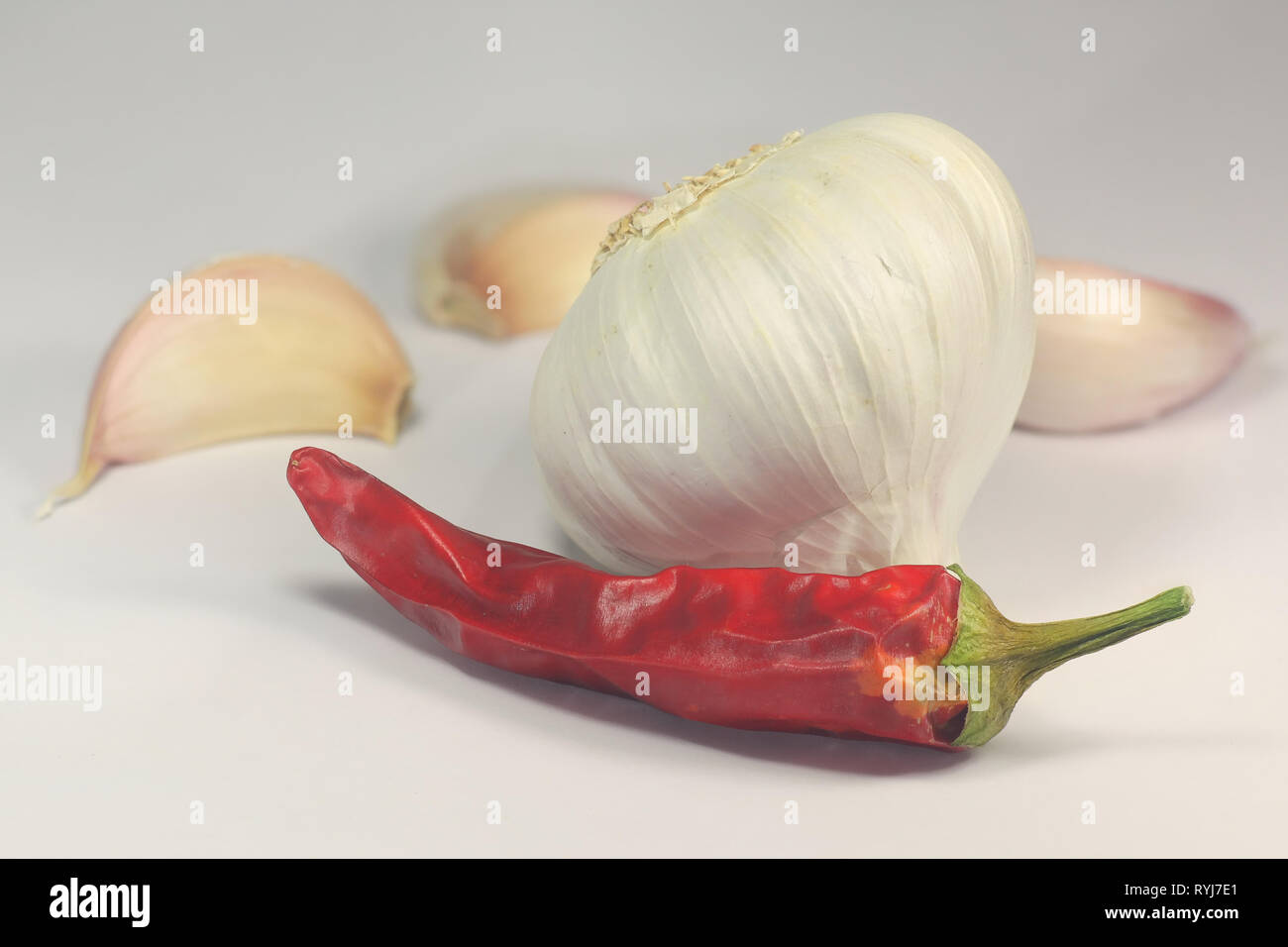 Le spezie e le erbe aromatiche, aglio e peperoncino rosso Foto Stock