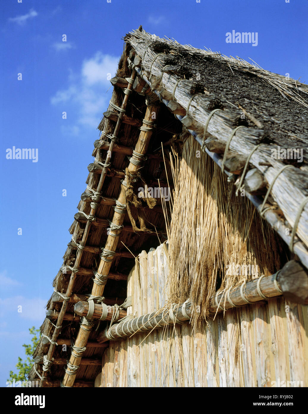 Preistoria, architettura, neolitico, la ricostruzione di una casa (5500 BC), dettaglio gable, case più antiche in Europa centrale, Straubing, Bassa Baviera, Additional-Rights-Clearance-Info-Not-Available Foto Stock