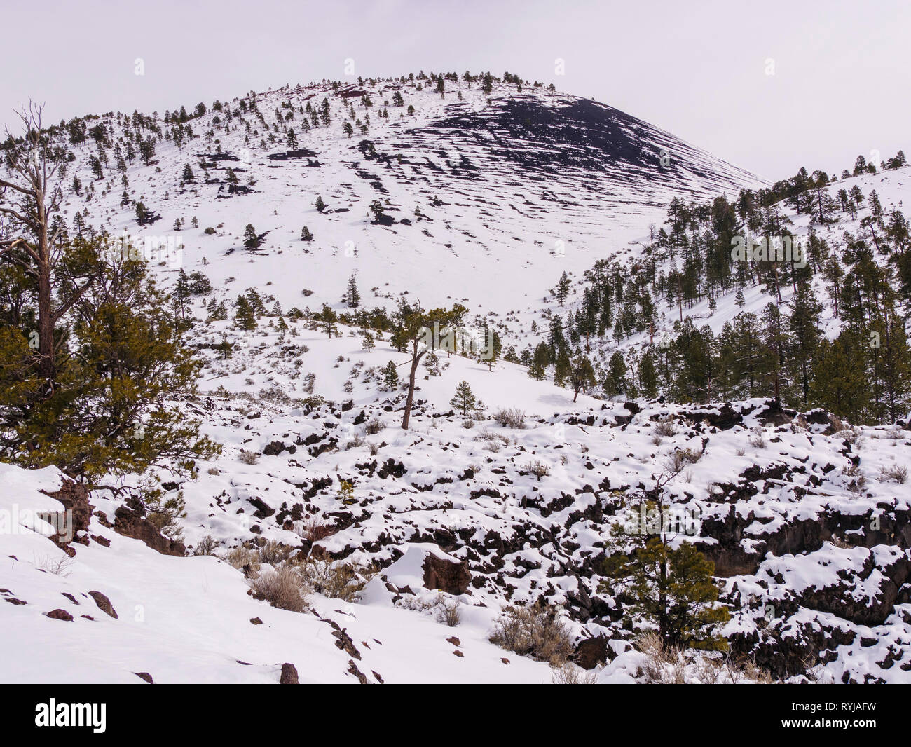 Sunset Crater e flusso di lava. Sunset Crater National Monument, Arizona. Foto Stock