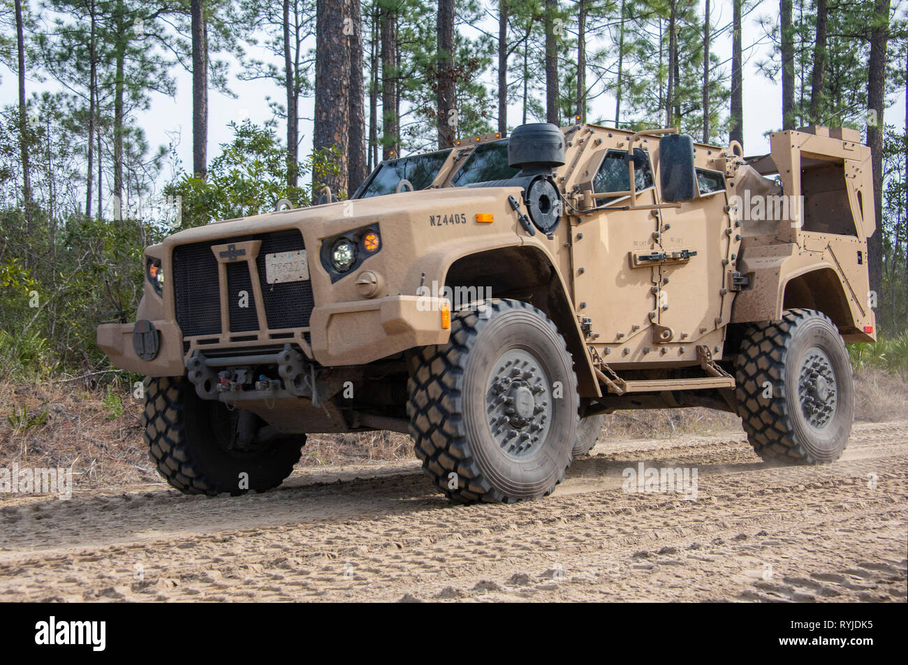 Una luce comune tattica unità del veicolo lungo un sentiero del serbatoio durante la formazione dell'operatore a Fort Stewart, Ga., Feb 13, 2019. La terza divisione di fanteria del primo Armored Brigade Combat Team è la prima unità dell'esercito per ricevere il servizio il più recente veicolo tattico. (Photo credit: Sean Kimmons) Foto Stock