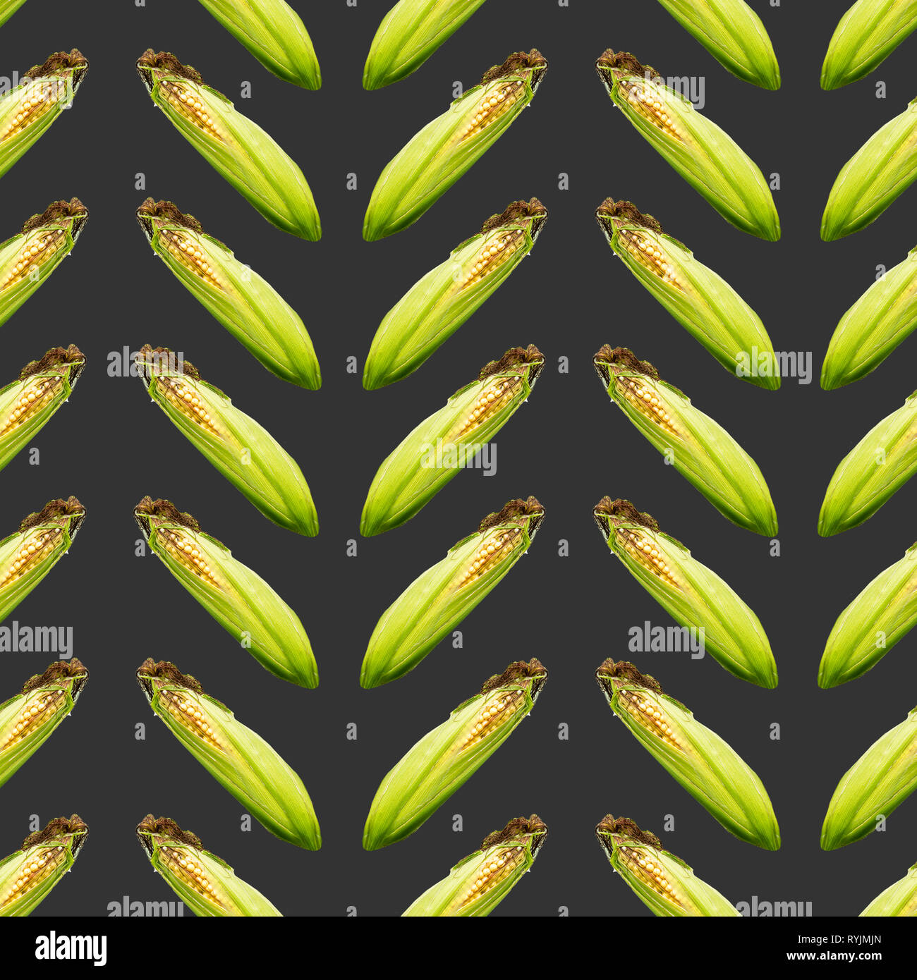 Raster pattern senza giunture. Spiga del granoturco su sfondo nero. Il sito di agricoltura, agriturismo, bestiame, grafica. Foto Stock