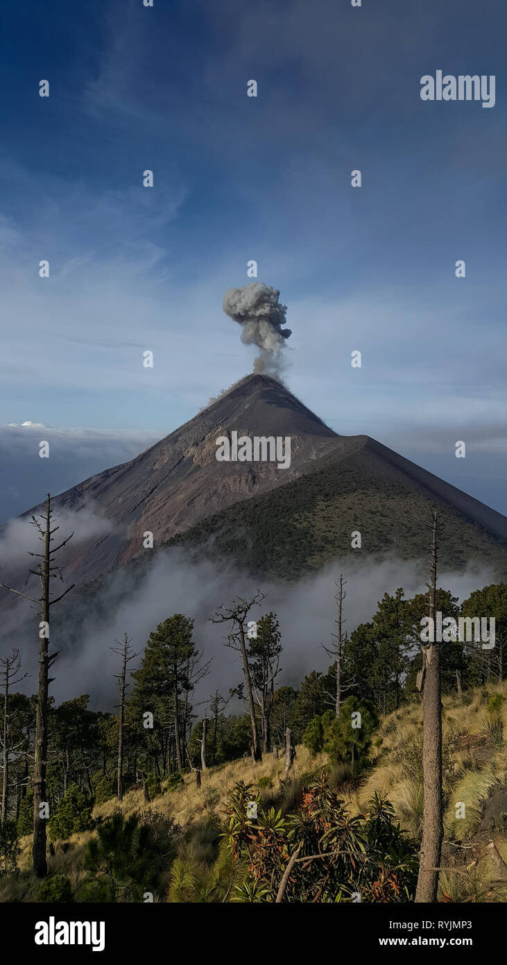 Volcan de Fuego, Guatemala Foto Stock