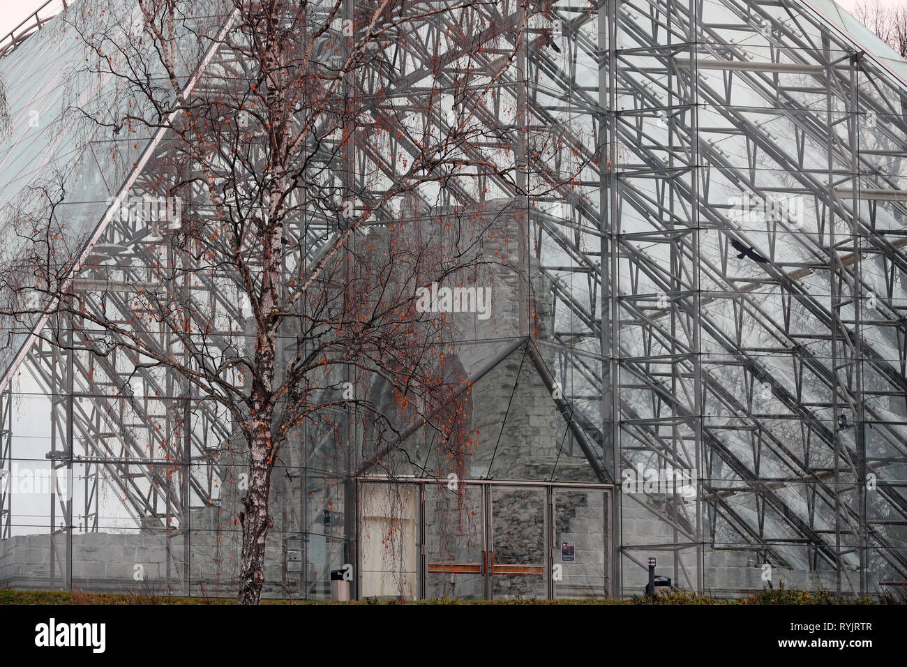 Le rovine della cattedrale di Hamar. Gli archi sono oggi protetti da uno dei più ambiziosi progetti di costruzione. La Norvegia. Foto Stock