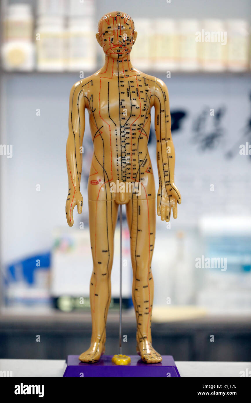 Cinese tradizionale farmacia. Singapore. Foto Stock