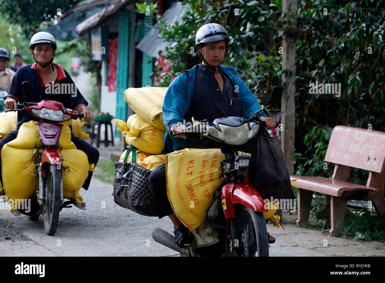 Moto piloti con pesanti sacchi di riso. Can Tho. Il Vietnam. Foto Stock