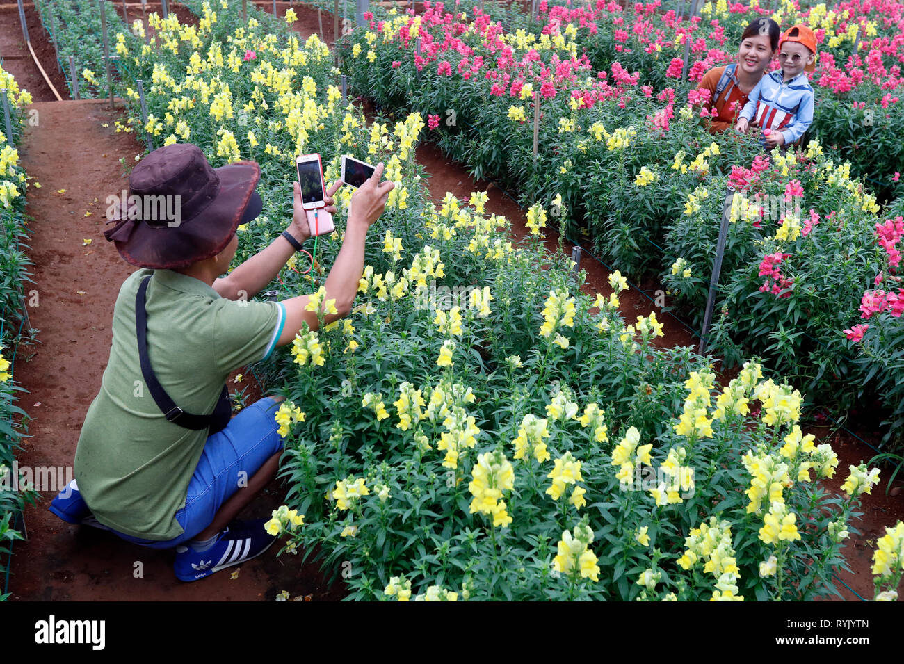 Bocca di Leone fiori righe in serra. Famiglia souvenir rendendo le immagini sullo smartphone. Dalat. Il Vietnam. Foto Stock