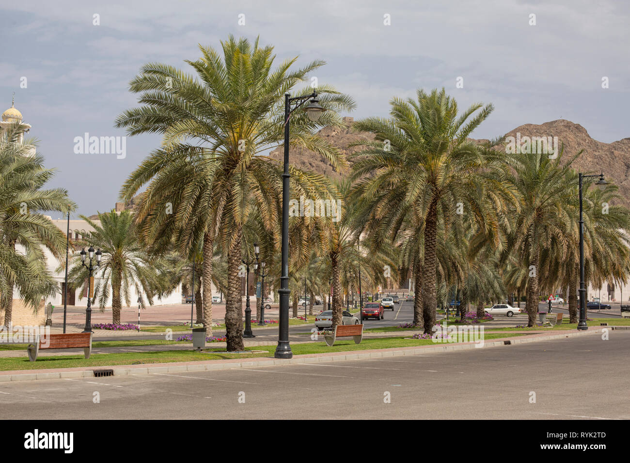 Boulevard con le automobili e le palme vicino al Museo Nazionale in Muscat Oman Foto Stock