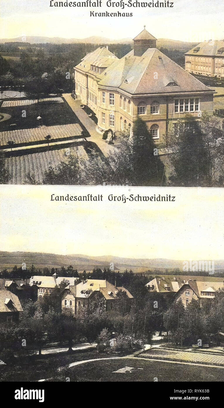 Cartoline Multiview, Landesanstalt Großschweidnitz, 1917, Landkreis Görlitz, Großschweidnitz, Landesanstalt, Krankenhaus, Germania Foto Stock
