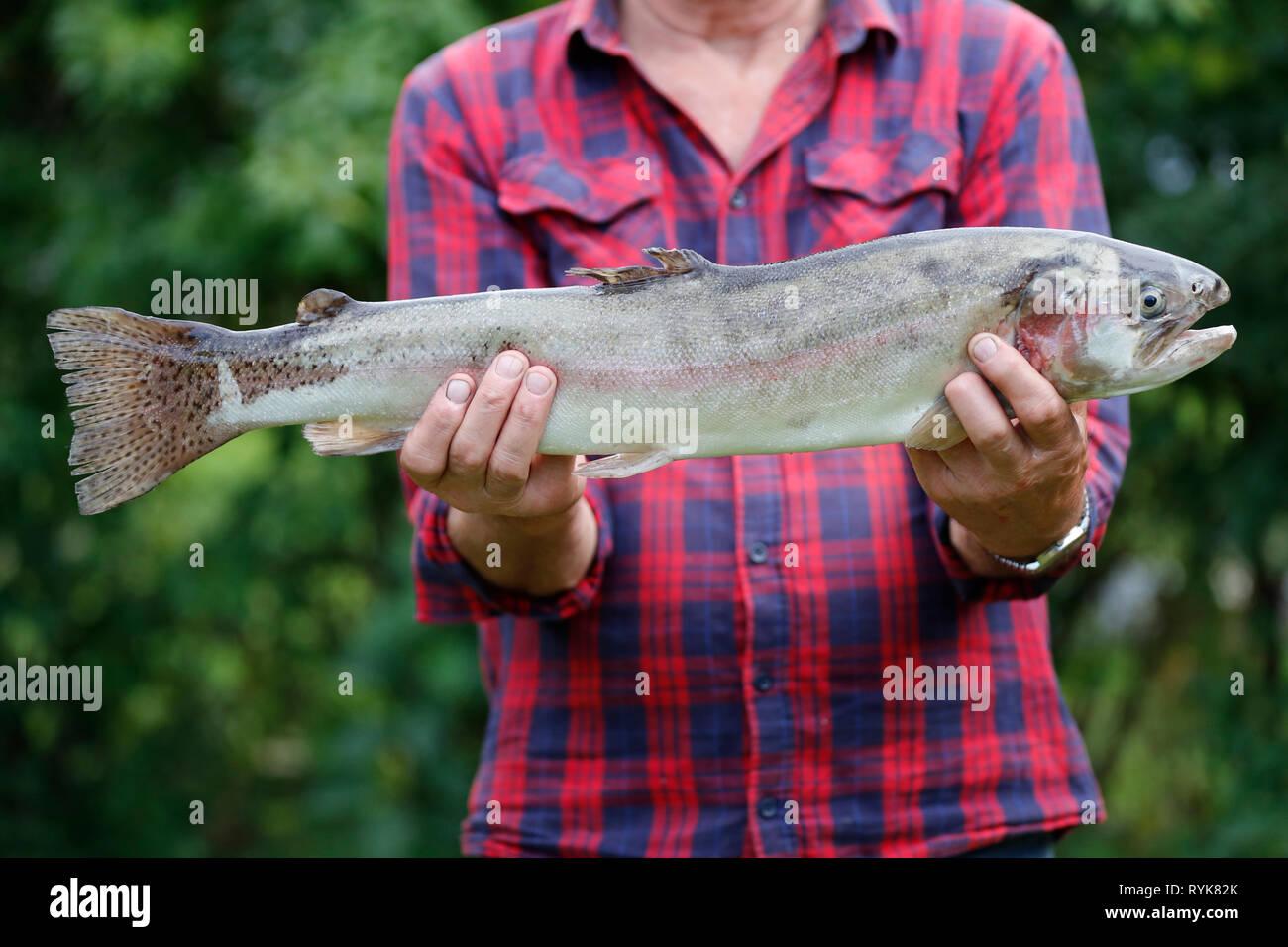Pescatore con una grande trota pescata in un lago. La Francia. Foto Stock