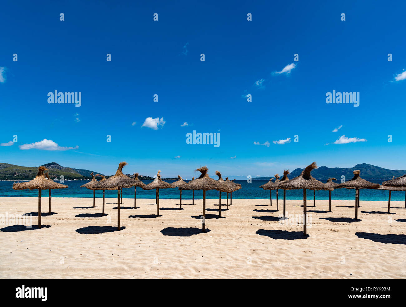 Ombrelloni sulla spiaggia, Pollensa, Maiorca, Spagna. Foto Stock