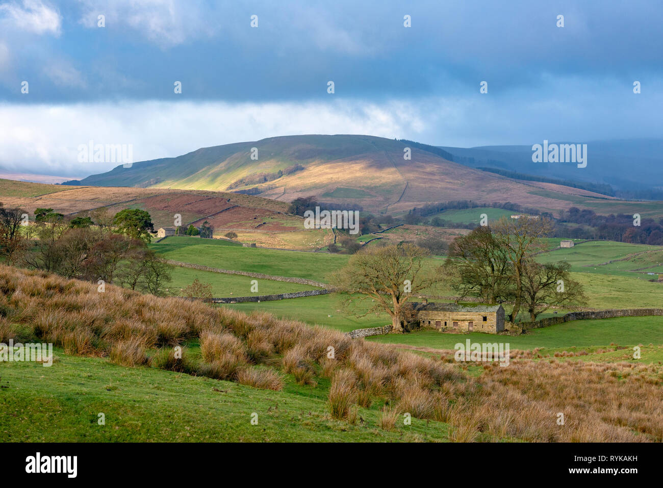 View near Hawes, North Yorkshire. Foto Stock